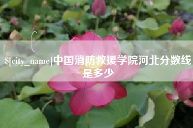 上海中国消防救援学院河北分数线是多少