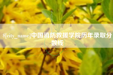 上海中国消防救援学院历年录取分数线