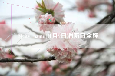 上海11月9日消防日全称