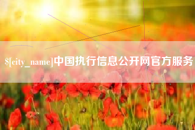 上海中国执行信息公开网官方服务