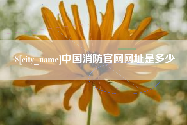 上海中国消防官网网址是多少