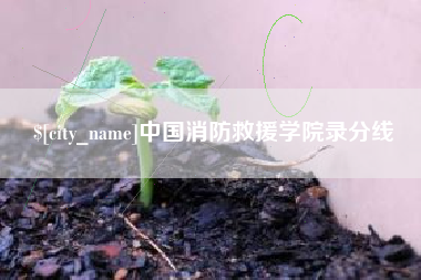 上海中国消防救援学院录分线