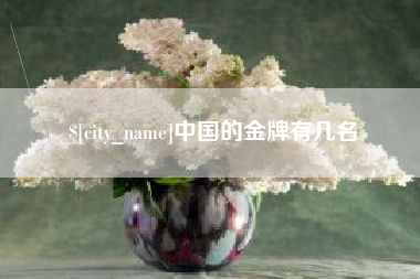 上海中国的金牌有几名