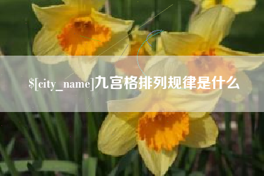 上海九宫格排列规律是什么