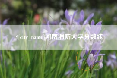上海河南消防大学分数线