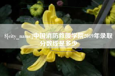 上海中国消防救援学院2019年录取分数线是多少