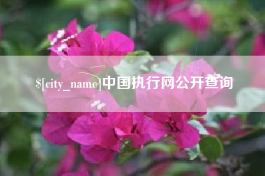 上海中国执行网公开查询