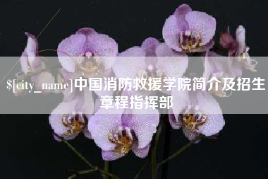 上海中国消防救援学院简介及招生章程指挥部