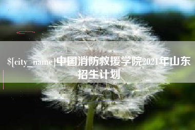 上海中国消防救援学院2021年山东招生计划