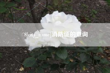 上海消防证的查询