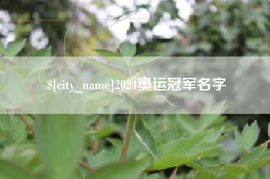 上海2024奥运冠军名字