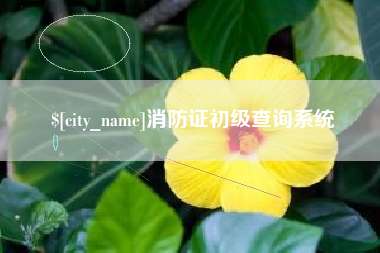 上海消防证初级查询系统