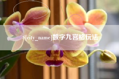 上海数字九宫格玩法