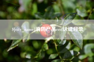 上海消防产品cccf认证目录