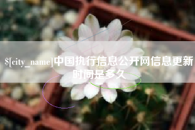 上海中国执行信息公开网信息更新时间是多久