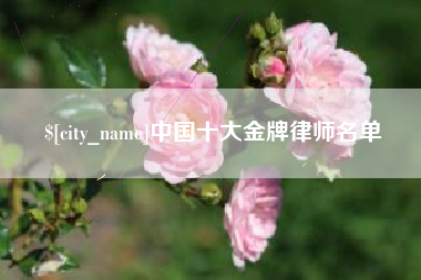 上海中国十大金牌律师名单