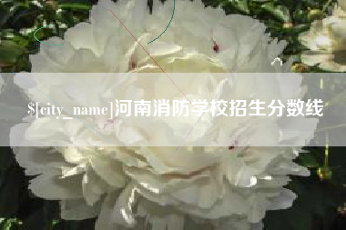 上海河南消防学校招生分数线