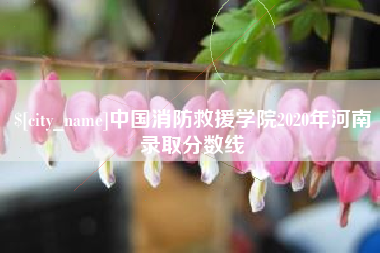 上海中国消防救援学院2020年河南录取分数线