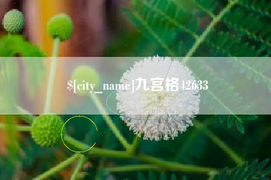 上海九宫格42633