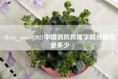 上海2021中国消防救援学院分数线是多少