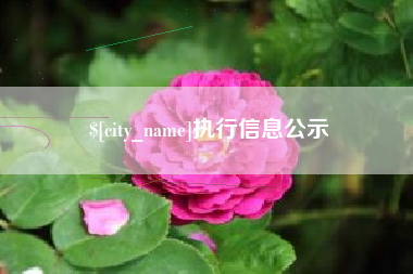 上海执行信息公示