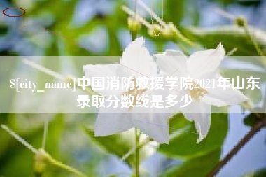 上海中国消防救援学院2021年山东录取分数线是多少