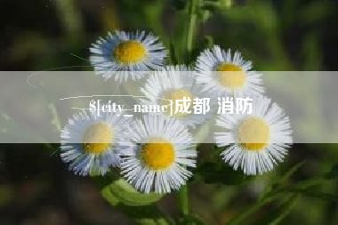 上海成都 消防