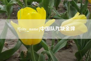 上海中国队九块金牌