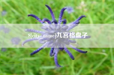 上海九宫格盘子