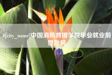 上海中国消防救援学院毕业就业前景如何