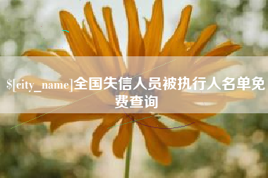 上海全国失信人员被执行人名单免费查询
