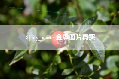 上海金牌图片真实