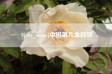 上海中国第九金回放
