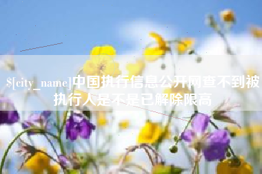 上海中国执行信息公开网查不到被执行人是不是已解除限高