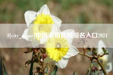 上海中国消防官网报名入口2024