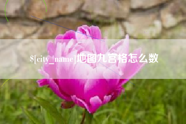 上海地图九宫格怎么数