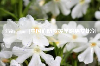上海中国消防救援学院男女比例