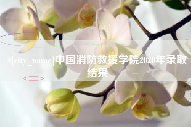 上海中国消防救援学院2020年录取结果