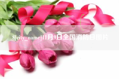 上海11月9日全国消防日图片