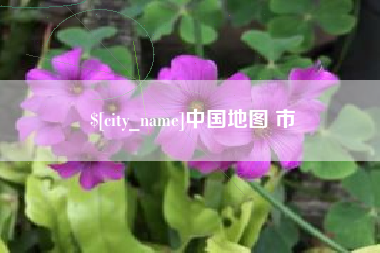 上海中国地图 市