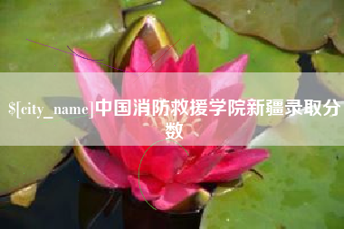 上海中国消防救援学院新疆录取分数