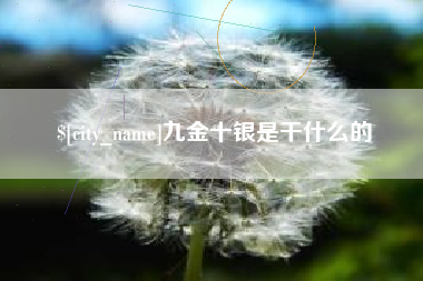 上海九金十银是干什么的