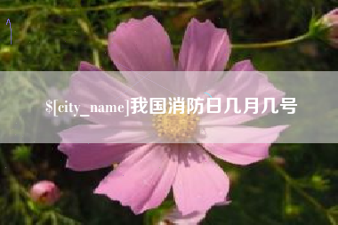 上海我国消防日几月几号