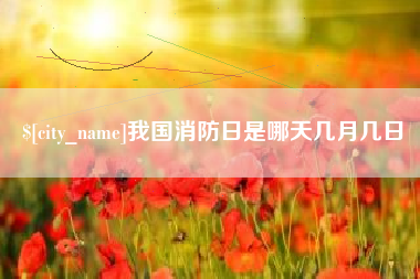 上海我国消防日是哪天几月几日
