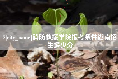 上海消防救援学院报考条件湖南招生多少分