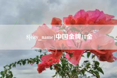 上海中国金牌18金