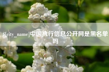 上海中国执行信息公开网是黑名单吗