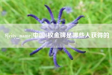 上海中国6枚金牌是哪些人获得的