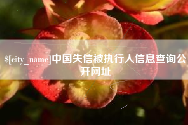 上海中国失信被执行人信息查询公开网址
