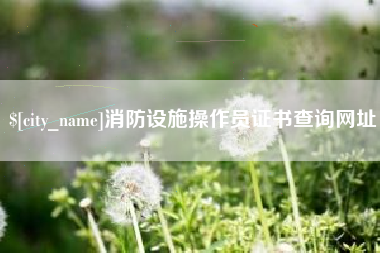 上海消防设施操作员证书查询网址